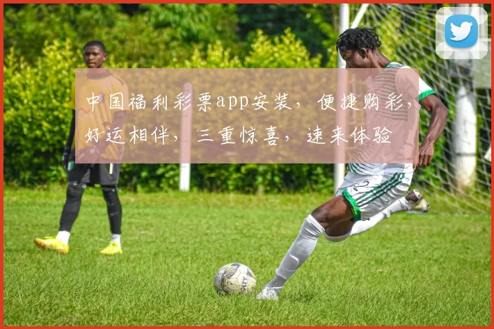 中国福利彩票app安装，便捷购彩，好运相伴，三重惊喜，速来体验