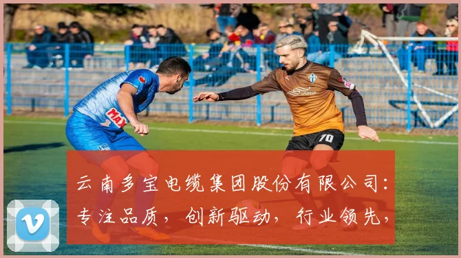 云南多宝电缆集团股份有限公司：专注品质，创新驱动，行业领先，电缆制造专家