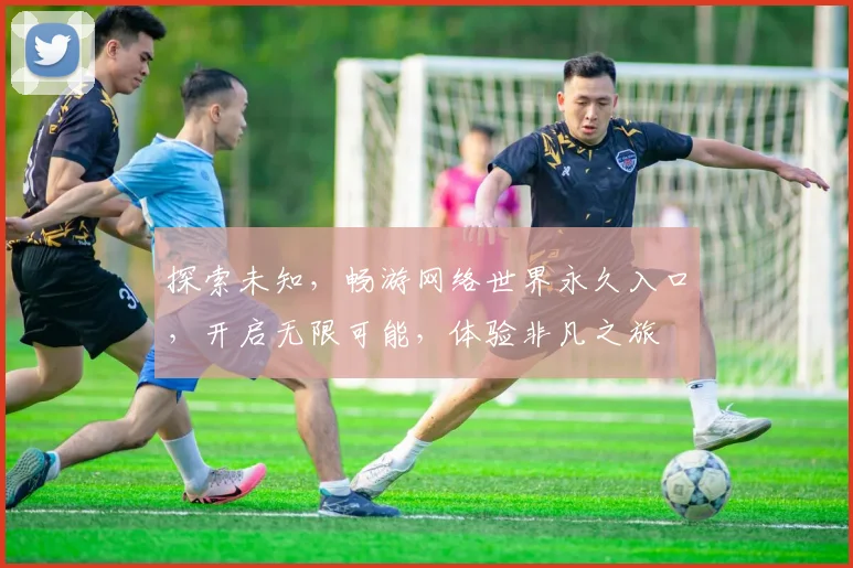 探索未知，畅游网络世界永久入口，开启无限可能，体验非凡之旅