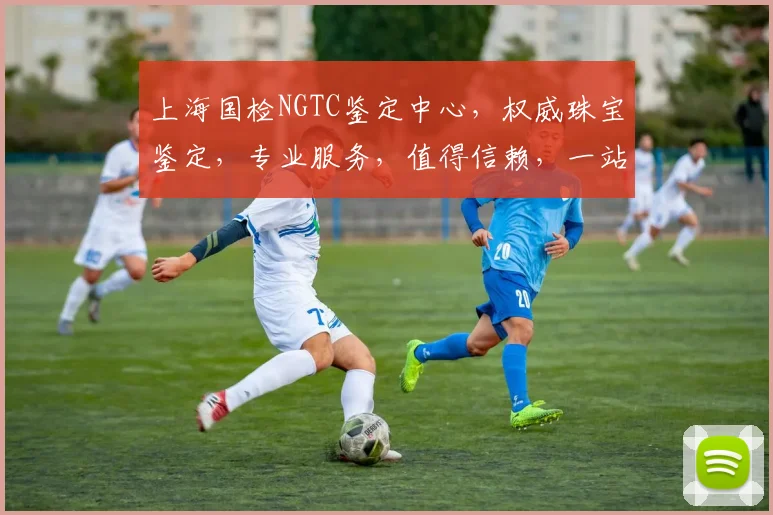 上海国检NGTC鉴定中心，权威珠宝鉴定，专业服务，值得信赖，一站式解决方案，助力珠宝行业。